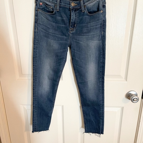 EUC HUDSON Skinny Jeans - Picture 3 of 6